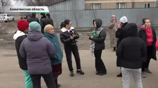 “Қатты қорқынышты“. Алматы облысындағы тұрғындар бұралқы итке шағымданды