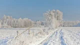 Қазақстанда қалың қар жауады, бірақ аяз бәсеңдейді