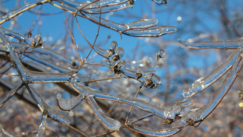 Фото:depositphotos.com