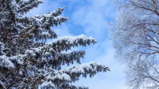 Қазгидромет 28 ақпанға арналған ауа райы болжамын ұсынды