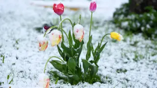 Қазақстанда -25 градусқа дейін аяз түседі