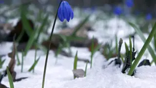 +14 градус жылы: жексенбіде ауа райы қандай болады?
