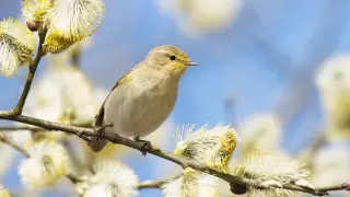 Қазақстанда 23 градусқа дейін күн жылынады