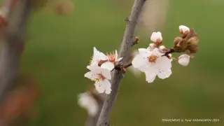 Қазақстанда бүгін ауа райы қандай болады?