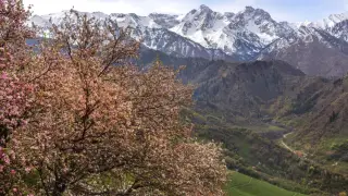 23 градус жылы: 21 наурызда ауа райы қандай болады?