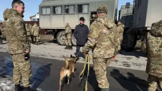 Қостанай облысында із-түзсіз жоғалған студент өлі табылды