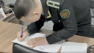 Алматыда жалған лицензия алған 400-ден аса компания әшкереленді