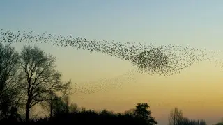 Алдағы күндері Астана мен Алматыда күн суытады - ауа райы болжамы