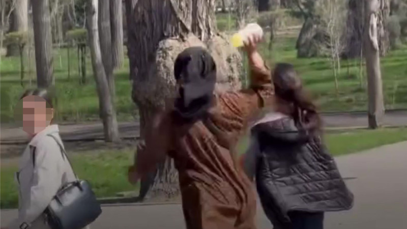 Видео кадры