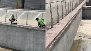 Үлкен Алматы жағалауындағы бояу жұмыстарына қатысты дау: әкімдік не дейді?