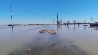 Ақмола облысында су тасқыны кезінде ер адам жоғалып кетті - оны сүңгуірлер іздестіріп жатыр