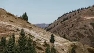 Алматыда 17 миллиард теңгенің жері мемлекетке қайтарылды