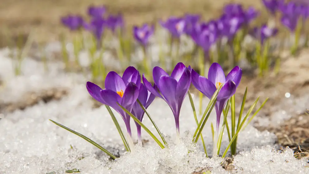 Температурный рекорд 109-летней давности побит в Казахстане