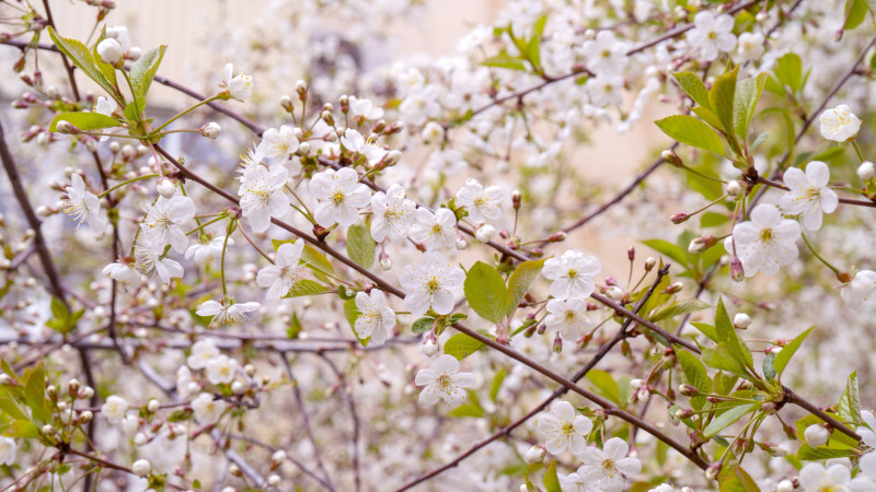 Фото:depositphotos.com