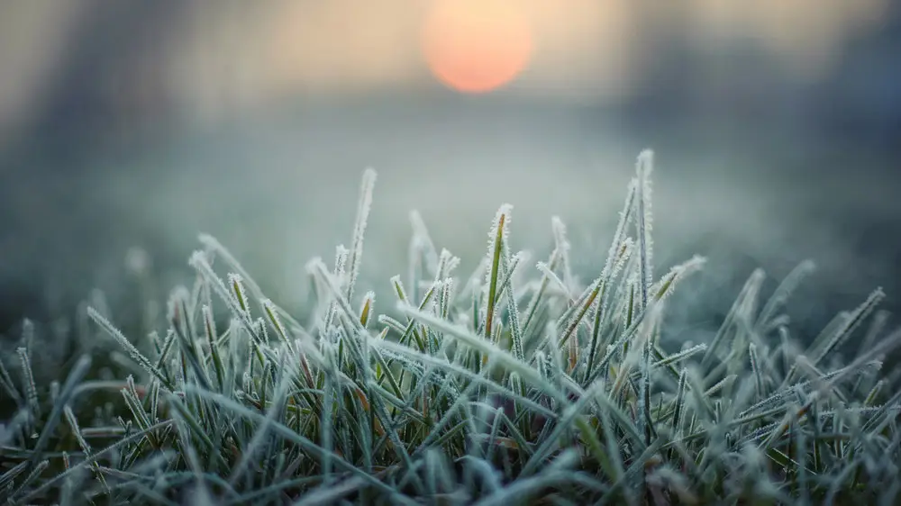 На юге до +27, на севере - заморозки. Какой будет погода в Казахстане 11 апреля
