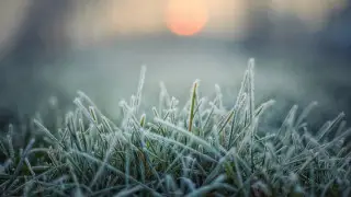 Жаңбыр, үсік, найзағай: 11 сәуірде ауа райы қандай болады?