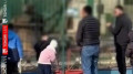 Семейде ересектер балалардың көзінше арыстандардың торына тас лақтырған