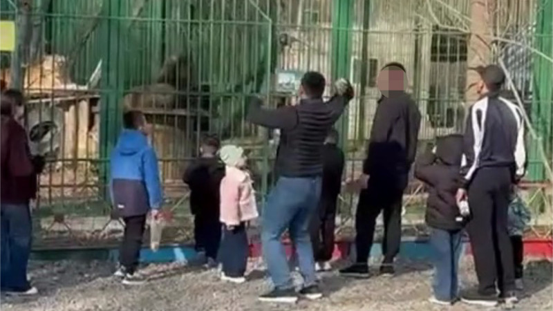 Бейнеден кадр