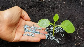 тыңайтқыштар