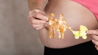 Суррогат ана