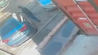 Астанадағы ерекше ұрлық видеоға түсіп қалды