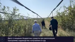 Шымкенттегі алма бақтарына қатысты атышулы іс сотқа жетті