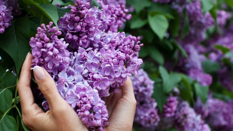 Фото:depositphotos.com