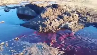 Щучинскіде қан аралас су шығып жатқан құдық тұрғындарды шошытты