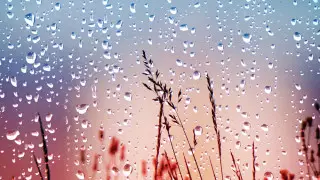 Жаңбыр жауып, күн күркірейді: бүгін ауа райы қандай болады?