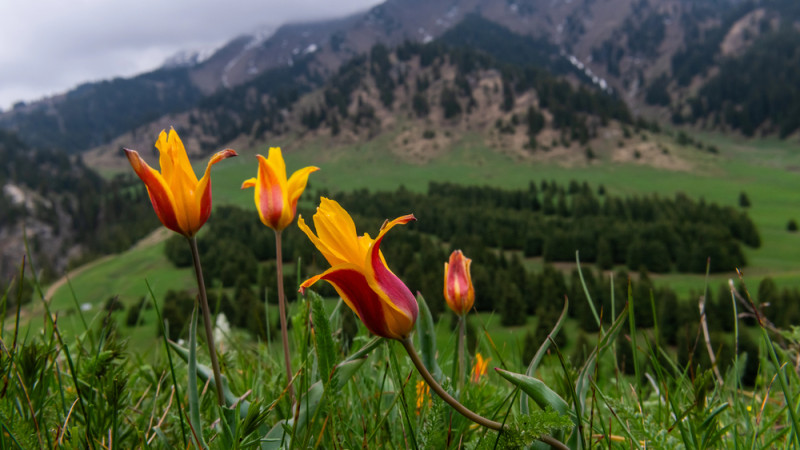 Фото:depositphotos.com