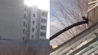 Теміртауда мектеп маңында үш баланы тоқ соқты: қылмыстық іс қозғалды