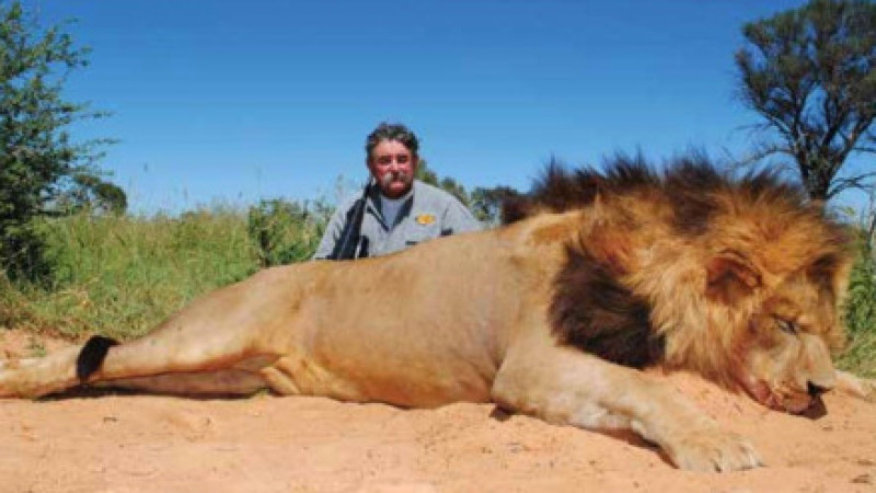 bobbyhansensafaris.com