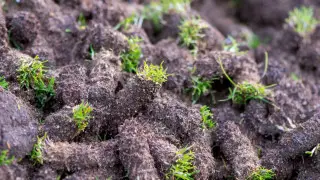 Найзағай және үсік: 27 сәуірде Қазақстанда ауа райы қандай болады?