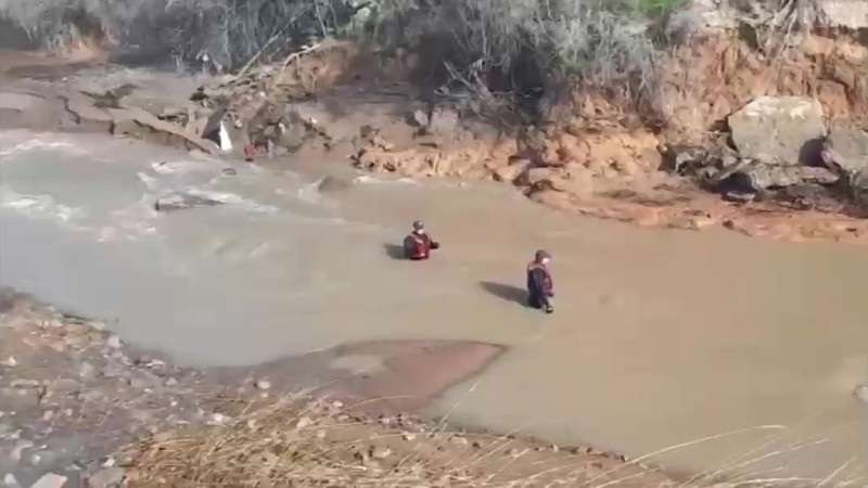 Бейнеден алынған кадр