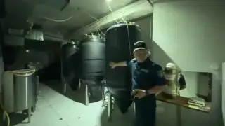 Танымал неміс сырасын қайнатқан: Алматыдағы жасырын цехтің видеосы көрсетілді