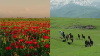 Қазақстандық көрікті алқабы бар “құпия“ жерді тапты