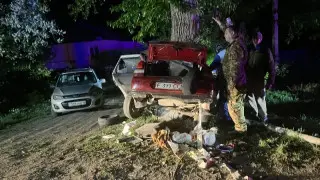 ШҚО-да көлік ағашқа соғылып, үш адам қаза тапты