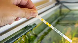Астана, Алматы және Шымкентте есірткі тұтынушылар жаңа әдіспен анықталады