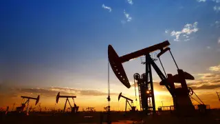 Түркияның ірі мұнай компаниясы Қазақстан нарығында жұмыс істеуге ниетті
