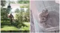 Алматы облысында жеке үйдің ауласына жылан кіріп кеткен