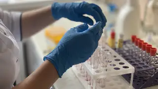 Қазақстандағы санитарлық-карантиндік пункттер хантавирусқа байланысты күшейтілген режимге көшті