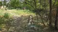 Ақтөбеде мектеп оқушысы ағаштың түбінен пакетке оралған нәрестені тауып алған