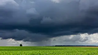 “Экологиялық таза өнім“ - вице-министр Қазақстандағы жасанды жаңбыр туралы