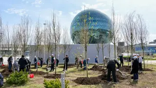 Президент: “Таза Қазақстан“ үкімет пен әкімдер үшін конституциялық міндет