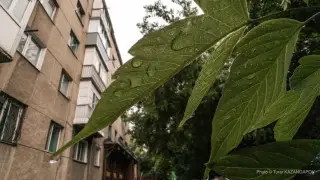 Аптап, жаңбыр және найзағай: 8 маусымда Қазақстанда ауа райы қандай болады?