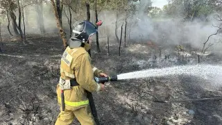 Қазақстанда орман өртсөндірушілерінің жалақысы қанша: вице-министр жауап берді