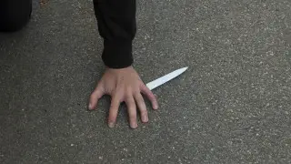 Алматыда бала аяусыз өлтірілген: заңгерлер 13 жастағы күдікті қалай жазалануы мүмкін екенін айтты
