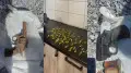 Ақтөбеде арнайы жасақ операция жүргізді: қару-жарақ, граната және есірткі тәркіленді