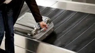 Дубайда әуежайдағы шабаданнан 200-ден аса тіршілік иесі табылды