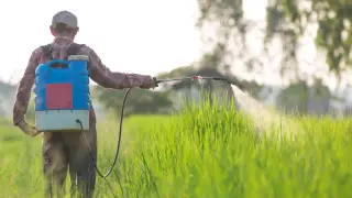 Қазақстандық егістікті химикатпен өңдеу кезінде қайтыс болды